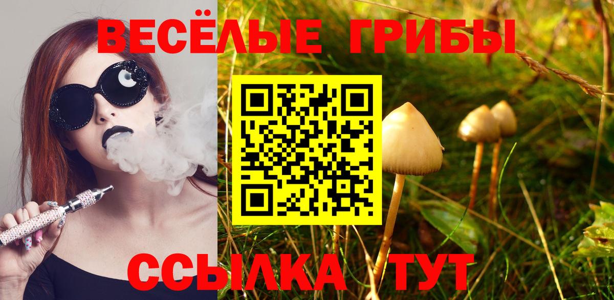 Псилоцибиновые грибы Cubensis Трёхгорный