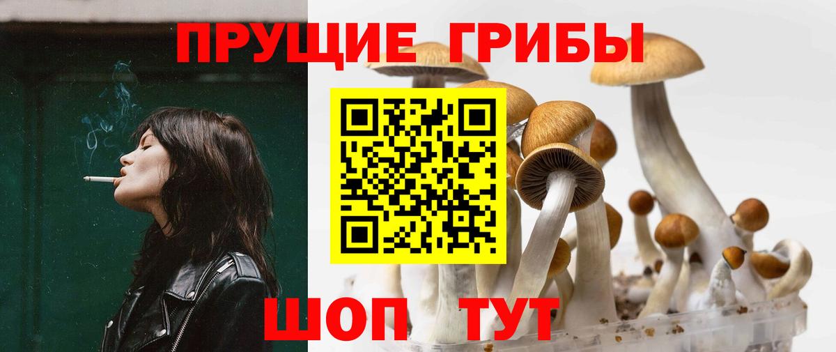 Трёхгорный  Псилоцибиновые грибы прущие грибы  Вход с VPN 